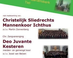 Sint Maartenskerk in Tiel voorjaarsconcert