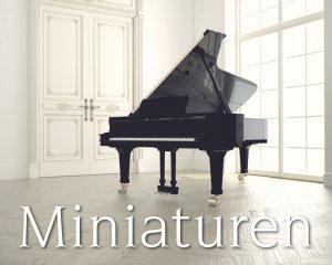 Hendrik Jan van der Heiden brengt nieuw album Miniaturen uit