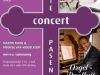 Orgel en panfluit passie en paasconcert in de Nieuwe kerk te Ermelo