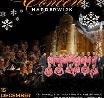 Groots Kerstconcert in de Grote kerk te Harderwijk
